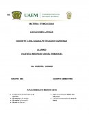 MATERIA: ETIMOLOGIAS LOCUCIONES LATINAS
