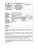 Arranque Planta Fermentación