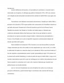 Introduccion al nazismo