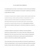 Las conductas agresivas en los niños, son muy frecuentes y aún más en menores que inicialmente se están formando su carácter para comunicarse a través de gestos o conductas que se trasforman en agresividad ante la sociedad.