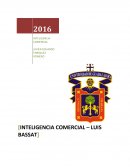 INTELIGENCIA COMERCIAL LUIS BASSAT