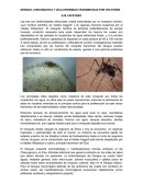 DENGUE, CHIKUNGUNYA Y ZICA EPIDEMIAS TRANSMITIDAS POR VECTORES