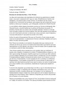 Resumen de introducción Ideas – Peter Watson