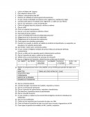 Que cobertura tiene el SGP