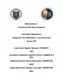 Actividad integradora Integración de habilidades y conocimientos