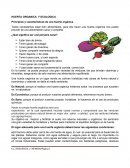 PROYECTO HUERTA ORGÁNICA ESCOLAR