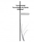 Importancia de las relaciones humanas en la Organización