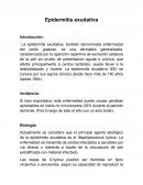 Epidermitis exudativa.