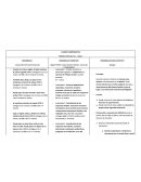 Cuadro Comparativo: Desarrollo psicomotor, desarrollo cognitivo y desarrollo socio - afectivo (apego)