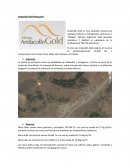 Andacollo Gold (Neuquén)