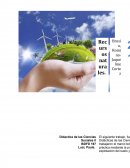 Trabajo en la escuela, propuesta desde el Diseño Curricular.