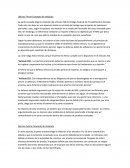 Décimo Tercer Concepto de violación