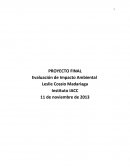 Evaluación de Impacto Ambiental.
