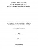 Práctica de Cardio - Exámen físico.