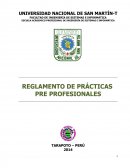 REGLAMENTO DE PRÁCTICAS PRE PROFESIONALES