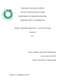 Higiene y Seguridad Industrial (9 "s")