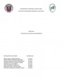 PRÁCTICA 1 ANÁLISIS CUALITATIVO DEL MOVIMIENTO