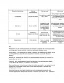 Escuelas helenisticas.