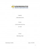 El servicio hacia los demás nace del amor propio que se tenga cada ser humano