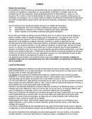 Thomas Hobbes - Contractualismo