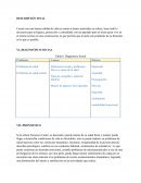 Trabajo de investigación de caso social individual