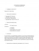 ANÁLISIS DEL PROBLEMA LA IDEA DEL PROYECTO