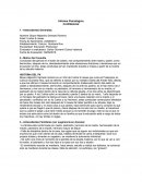 BASES DEL COMPORTAMIENTO HUMANO