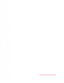 Definición de observación y tipos de observadores según Bufford Junker.. Página 2