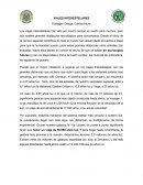 VIAJES INTERESTELARES.