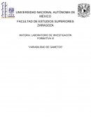 Viabilidad de gametos