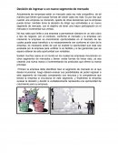 Decision de ingresar a un nuevo segmento