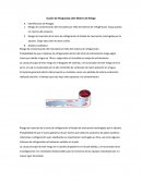 Acción de Respuesta ante Matriz de Riesgo