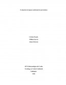 Evaluación de impacto ambiental de porcicultura