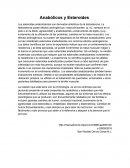 Anabolicos y esteroides.