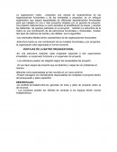 VENTAJAS DE LA MATRIZ ORGANIZACIONAL.