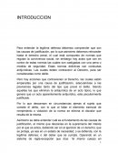 Legitima defensa.