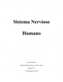 Anatomofisiología Humana y Primeros Auxilio.