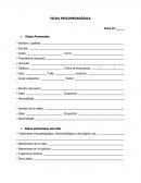 Ficha Psicopedagógica.