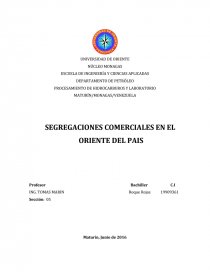 PROCESAMIENTO DE HIDROCARBUROS Y LABORATORIO.. Página 1