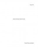 Reporte museo nacional de arte.