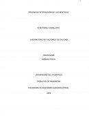 Informe de interracion de sentidos.