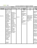 GUÍA PARA LA ELABORACIÓN DEL PROCESO DE ENFERMERÍA VALORACION PLANEACIÓN