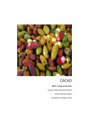 Desigualdades regionales en México.