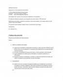 Trabajo semestral microeconomía.