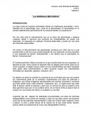 ENSAYO “LA NARANJA MECÁNICA”