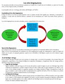 Los ciclos biogeoquímicos.