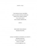 GESTION ORGANIZACIONAL Empresa de plasticos.