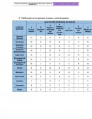 Calificación de los puestos muestra a nivel de grados.