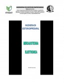 MERCADOTECNIA Y EVOLUCIÓN DE LOS NEGOCIOS ELECTRÓNICOS