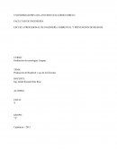 Producción de tecnologías Limpias.